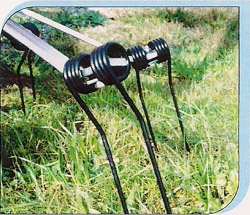 Coil Tines